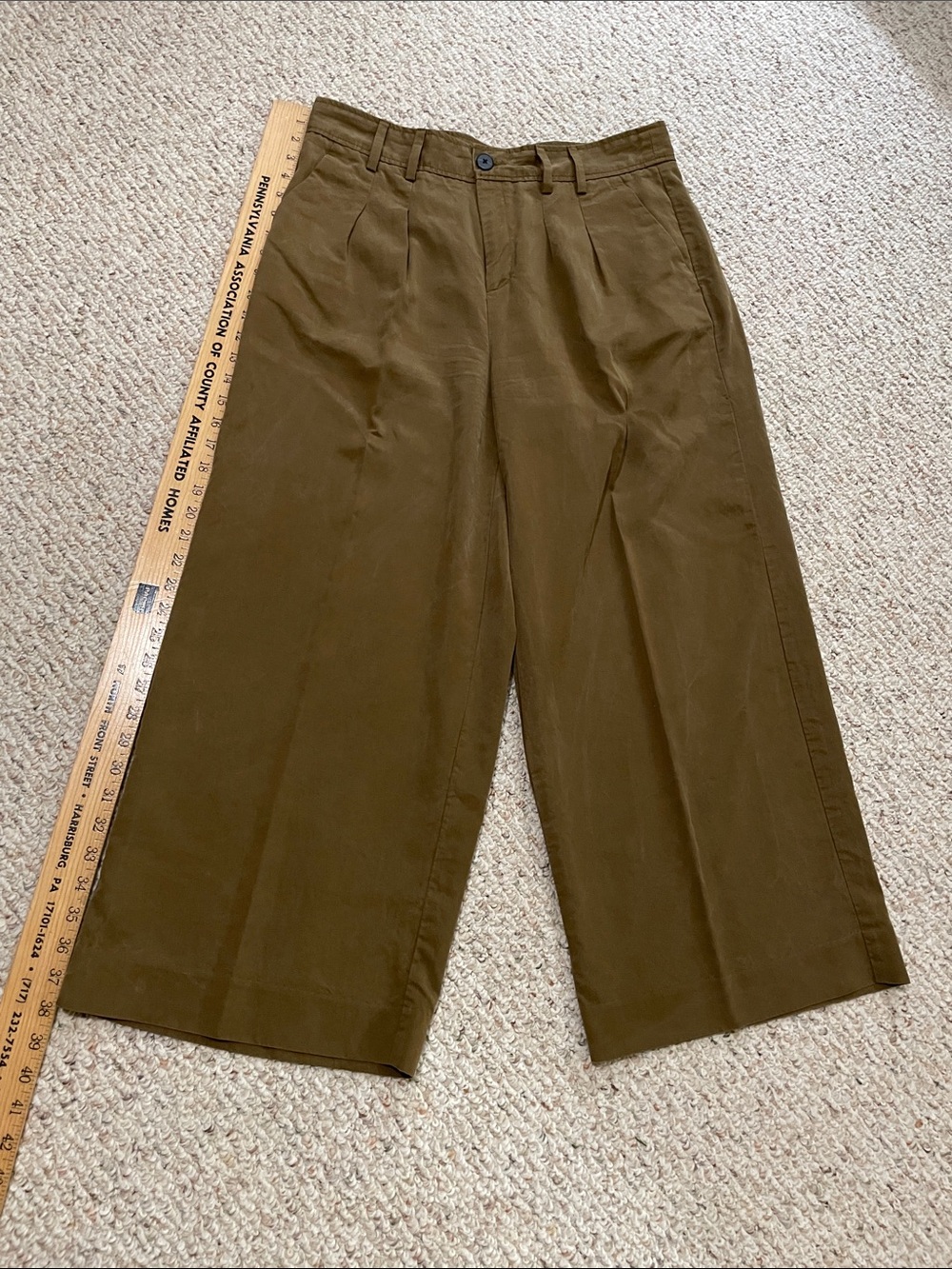 Banana Republic wide-leg pants, front pleats, front/back pockets, size 12, NWOT